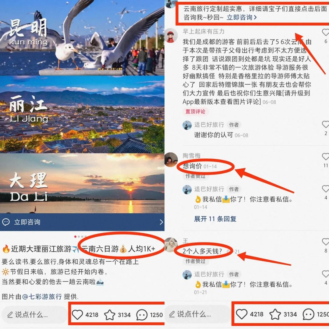 131335qt6v6axmv6635m7j.jpeg